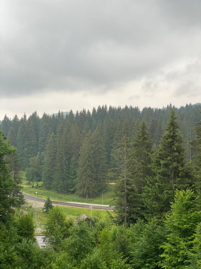 Silver Mountain C24 Royal Poiana Brasov Luaran gambar
